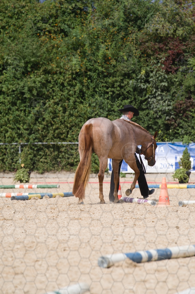 s_batch_A9_00045.jpg